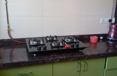 Pride presidency luxuria